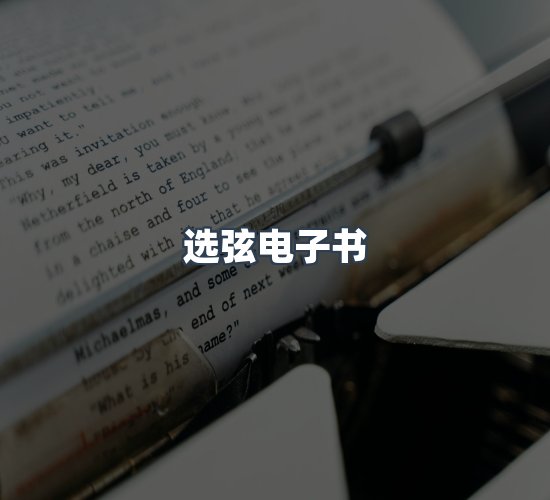关于选弦电子书